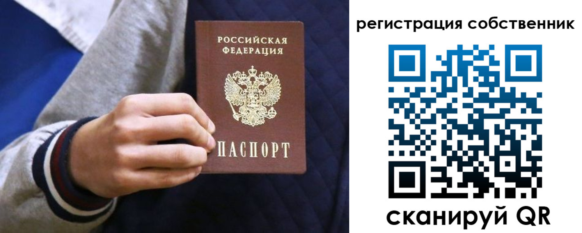 прописка поиск в Борзе